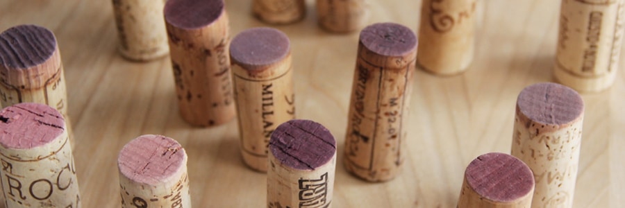 start edvino wein darmstadt 19 opt